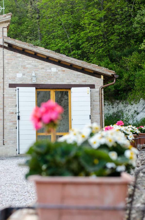 Bed and Breakfast Calmancino Delle Selve Урбіно Екстер'єр фото